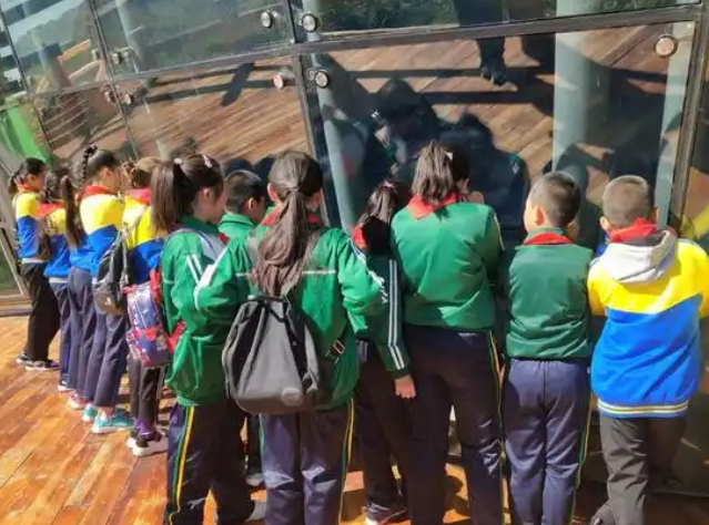 让草原学子在家门口享受优质科创教育以科技之力打破地域壁垒 让草原学子在家门口享受优质科创教育以科技之力打破地域壁垒