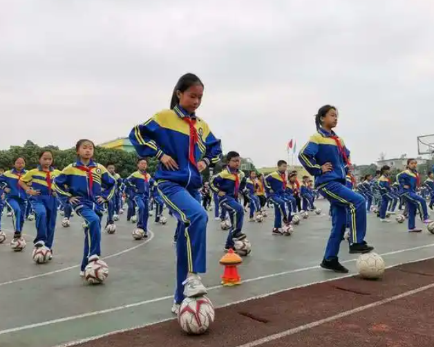 体育教育从被迫参与变为主动挑选从一致要求走向特性适配