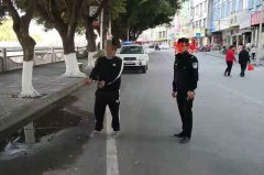 广东紫金环卫工凌晨被撞身亡！肇事司机逃逸后
