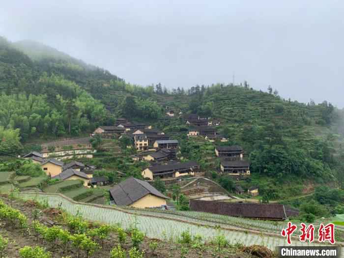 红绿共舞融合发展 浙江丽水开辟“两山”转化新通道